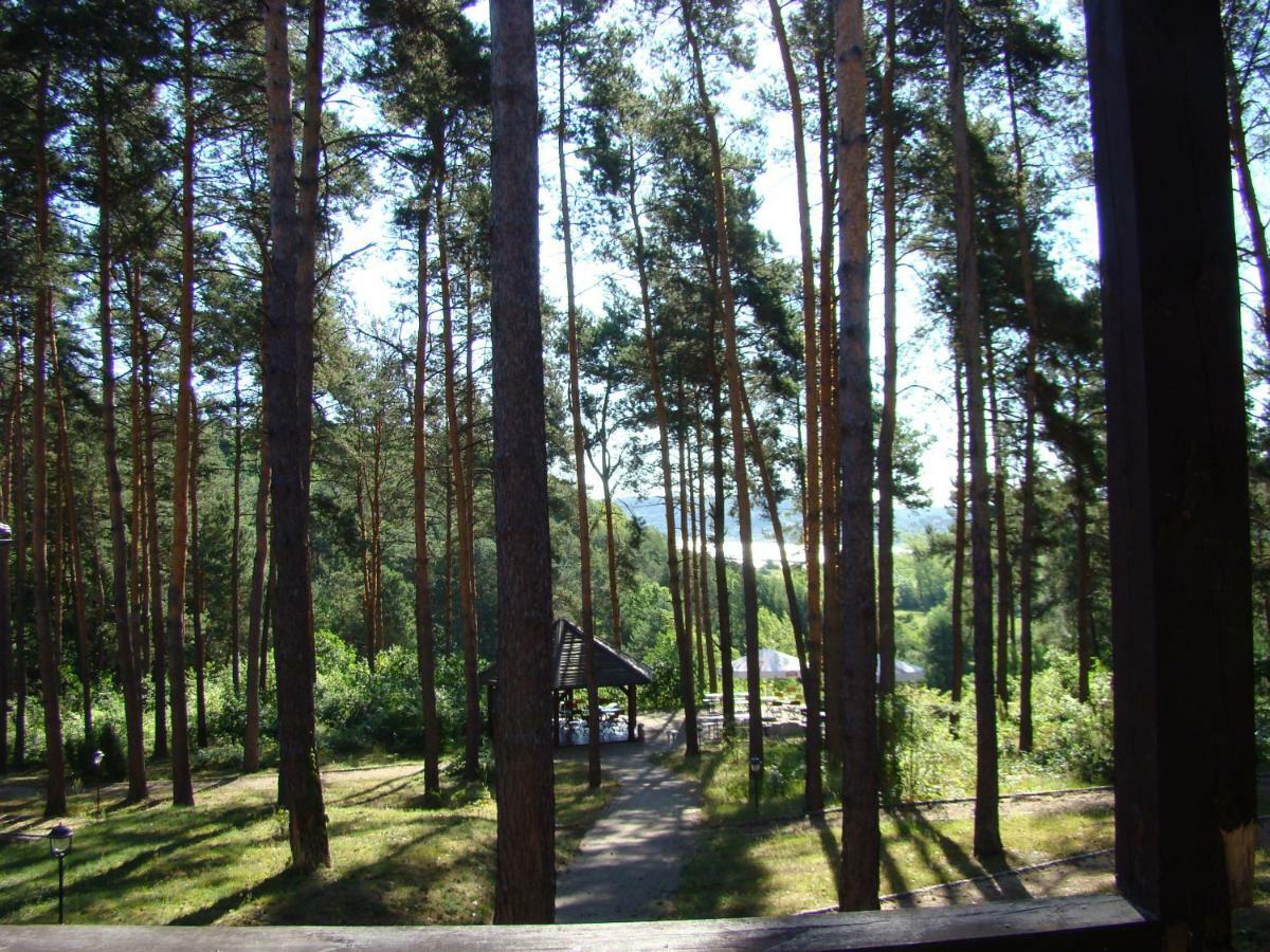 Willa Wellness Janowiec Exterior foto